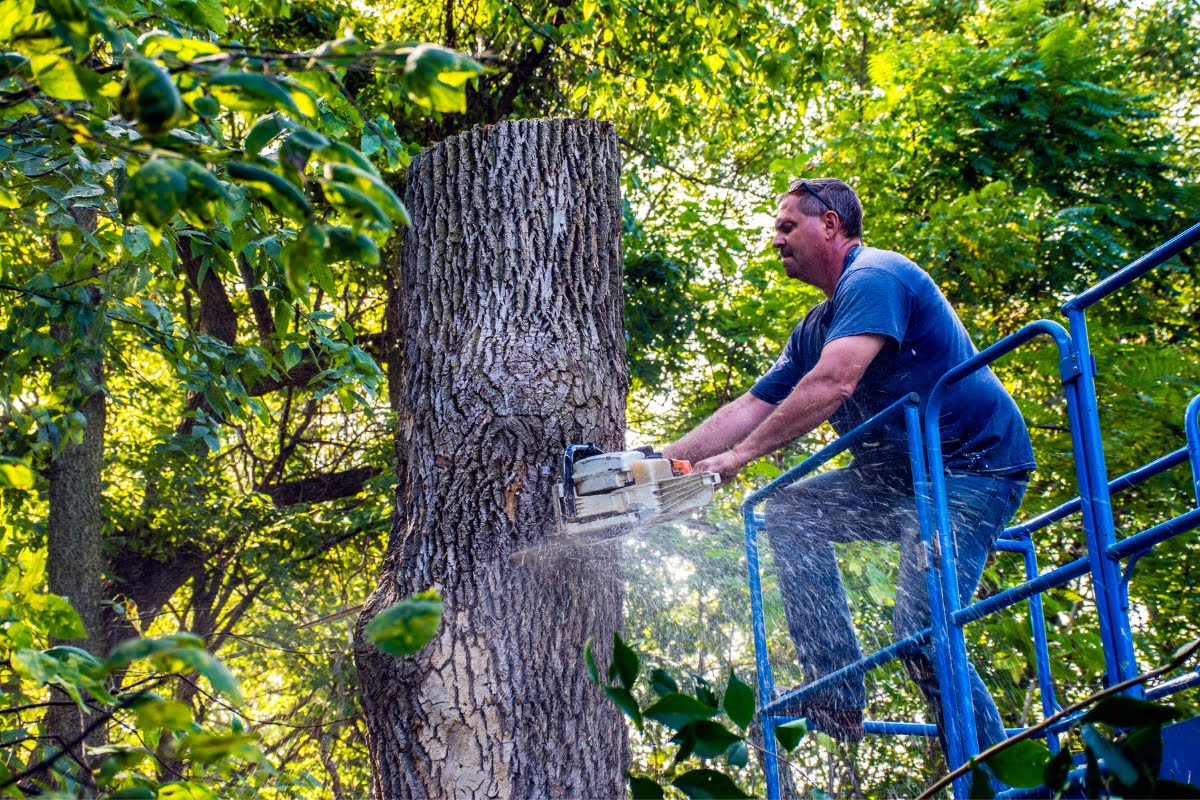 Tree Service Software Go Marketing CRM
