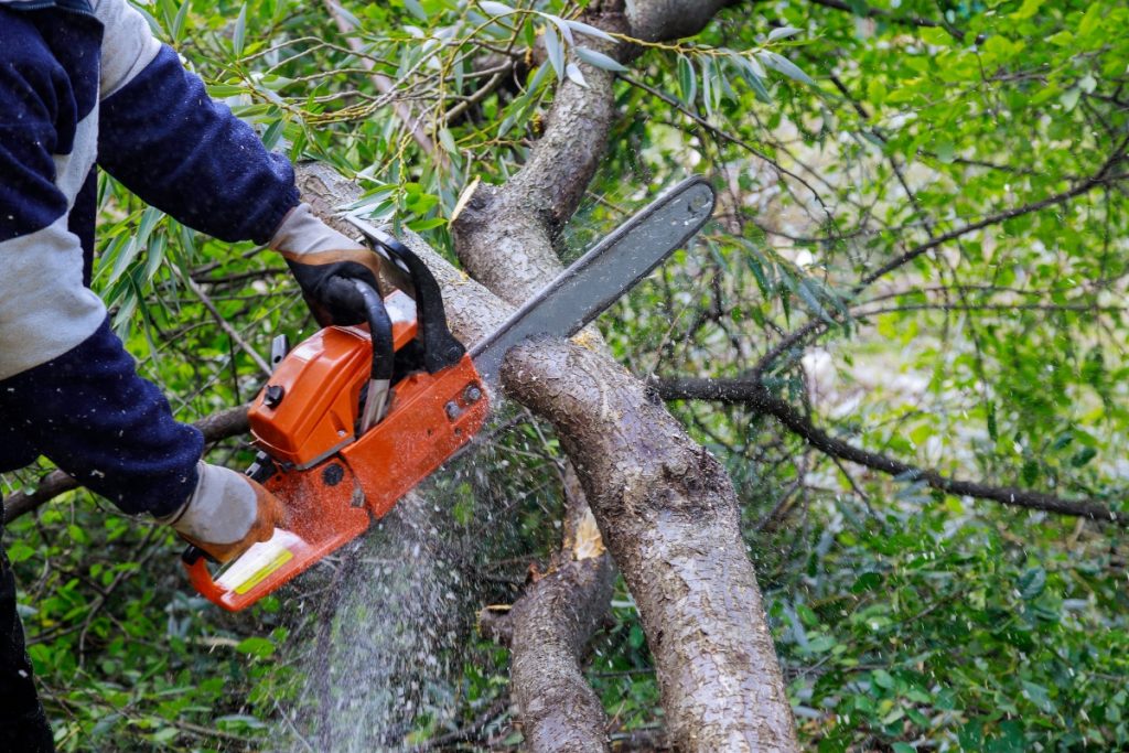Tree Service Software 1 Tree Service Software